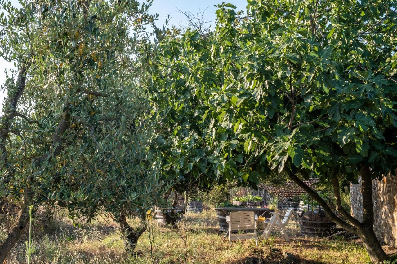 Podere Pruneto Radda in Chianti Extérieur photo