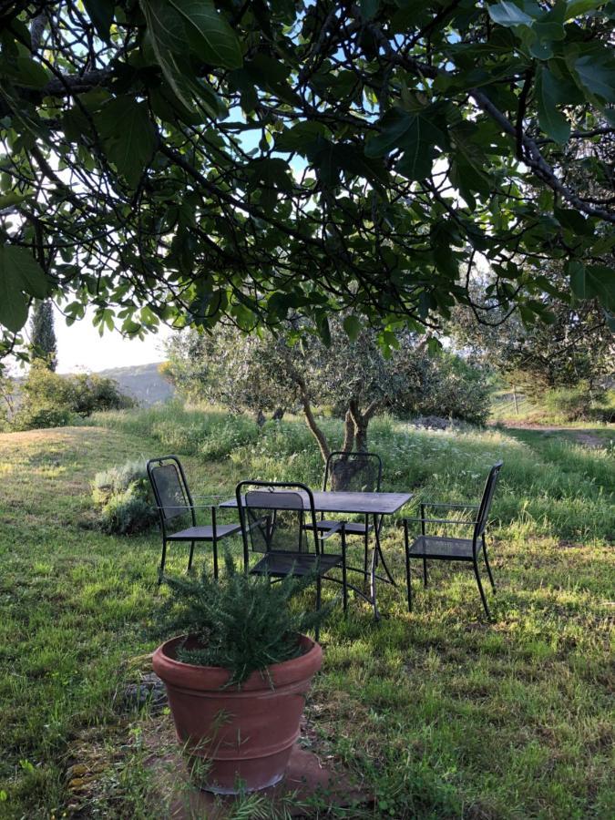 Podere Pruneto Radda in Chianti Extérieur photo